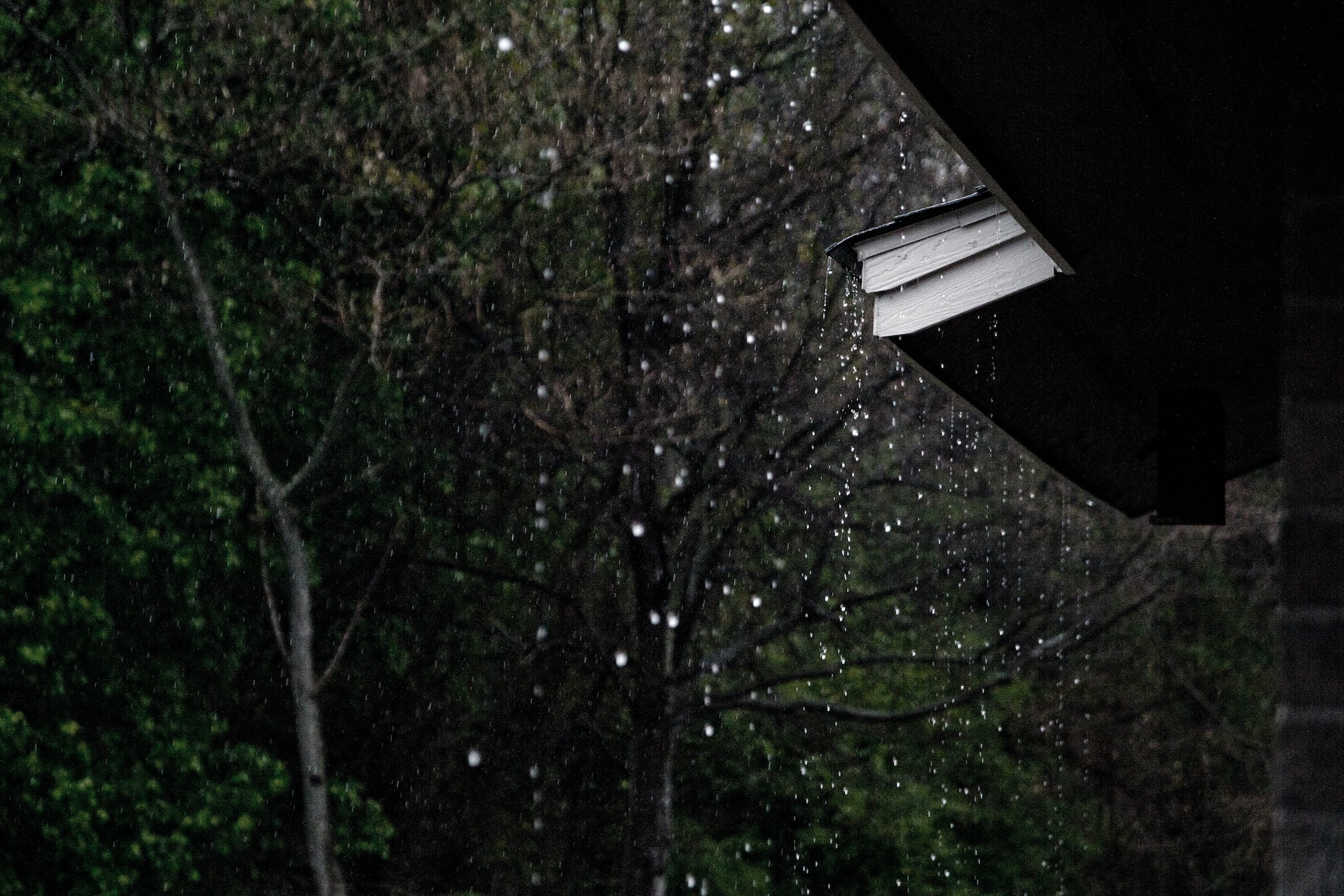 rain3